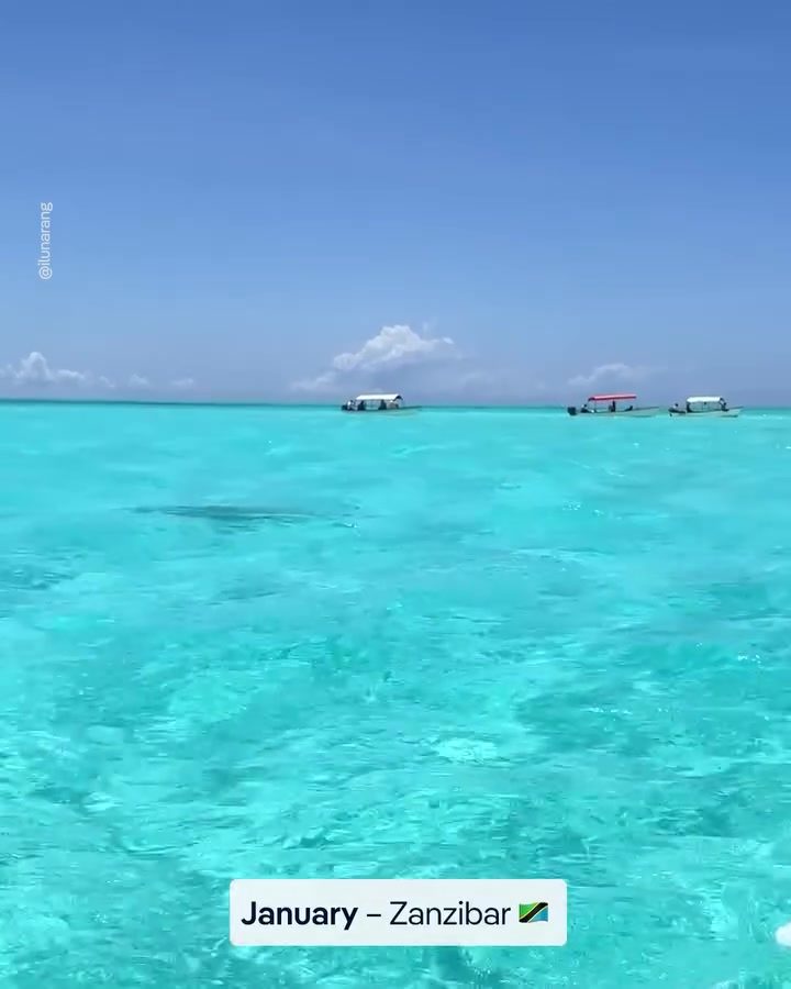 Explore Zanzibar's Stunning Beaches and Clear Waters in January