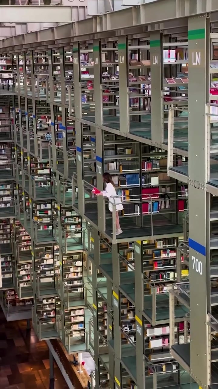 Biblioteca Vasconcelos: Mexico City's Automated Library