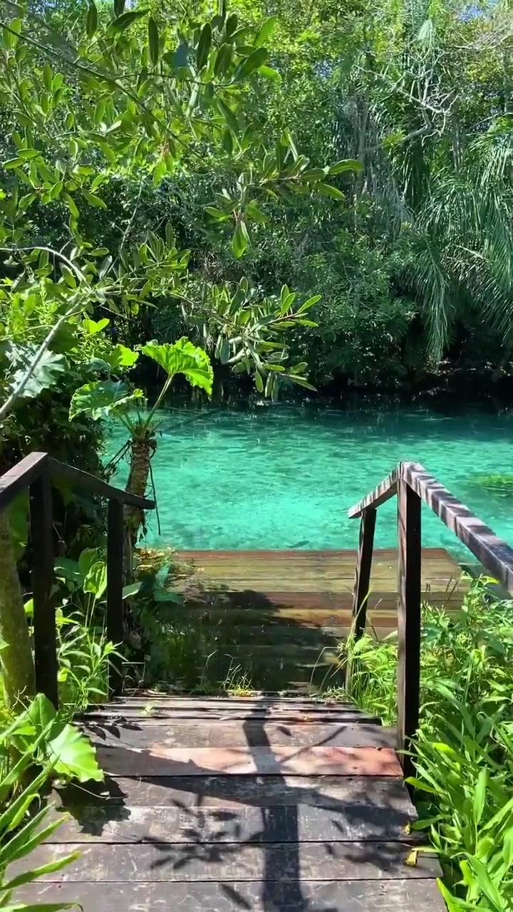 Bonito's Crystal Clear Natural Spring in Brazil