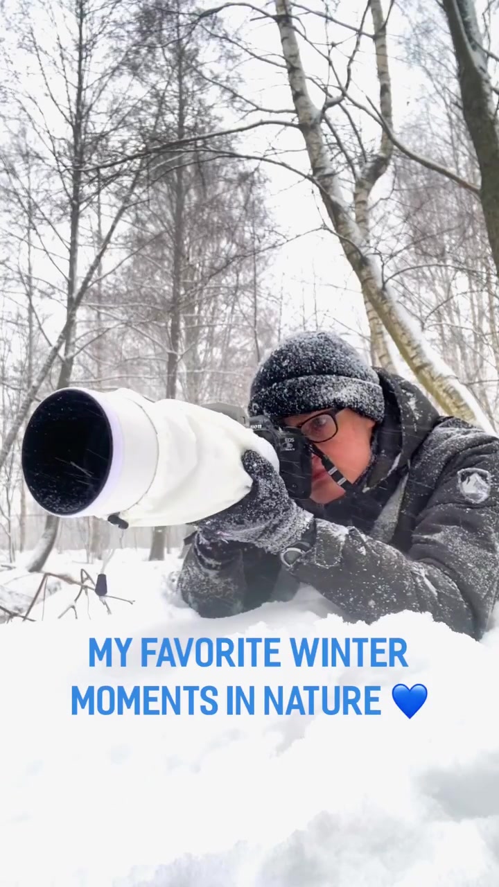 Winter Nature Photography Tips with Telephoto Lens