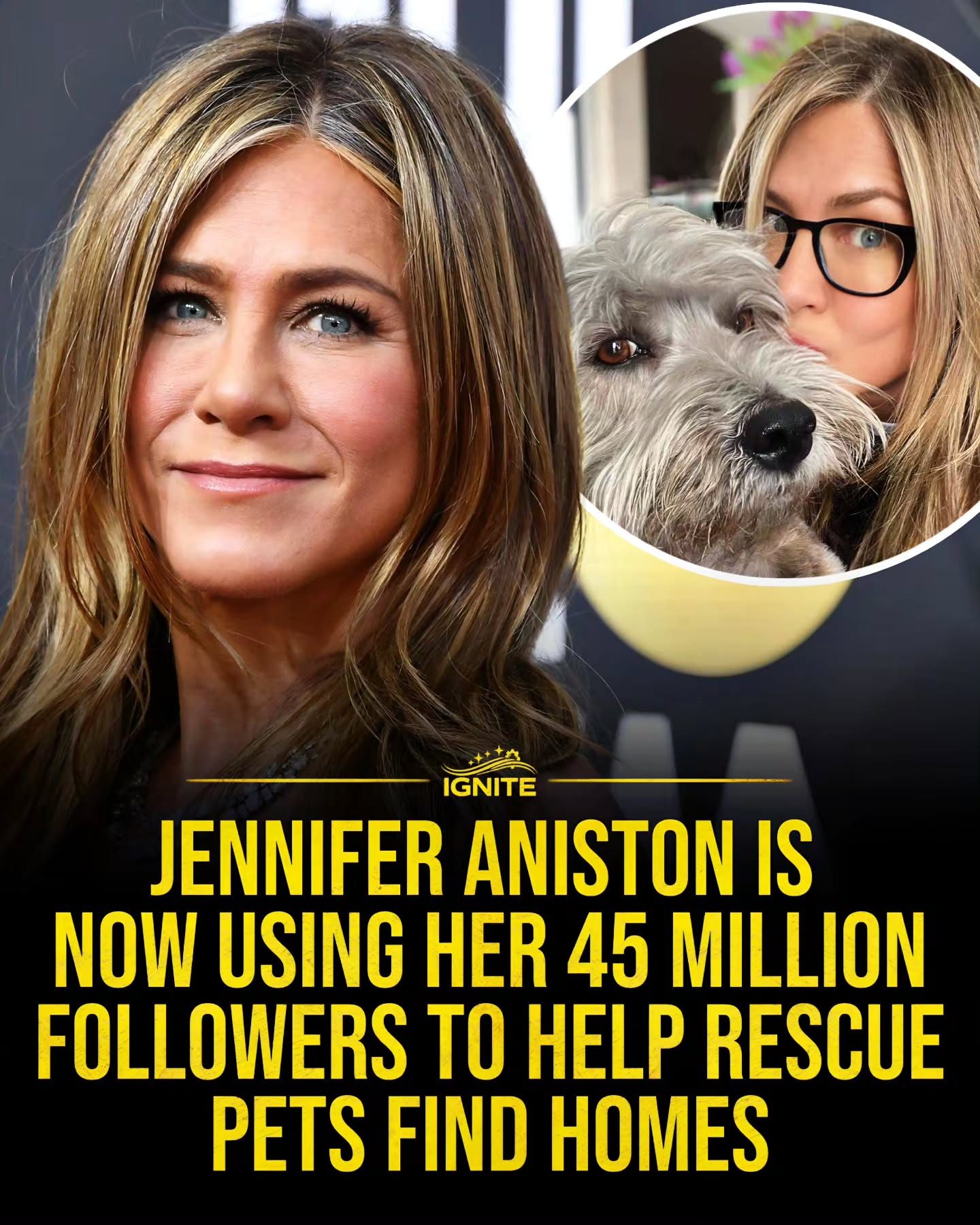 Jennifer Aniston Champions Pet Adoption with Instagram Campaign