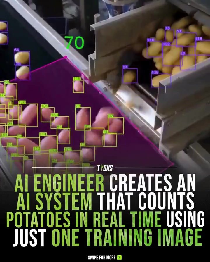 AI Potato Counting Revolutionizes Industrial Automation with Lightweight System