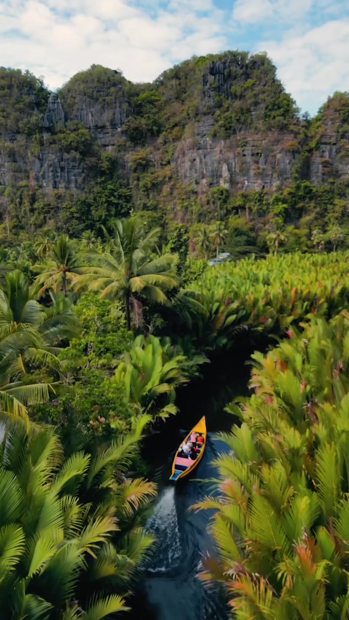 Tropical River Tour: Aerial Views of Nature