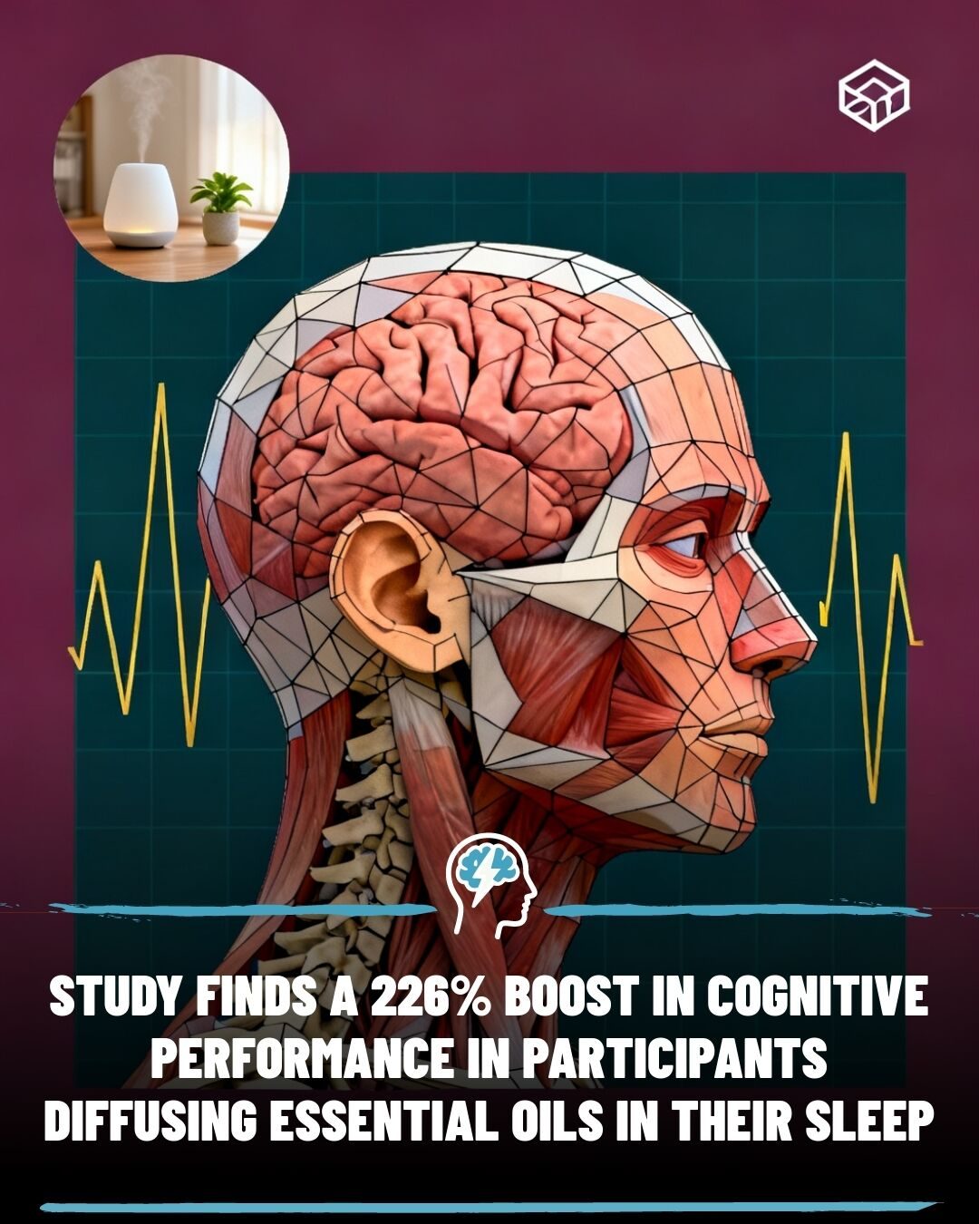 How Essential Oils May Boost Cognitive Performance During Sleep