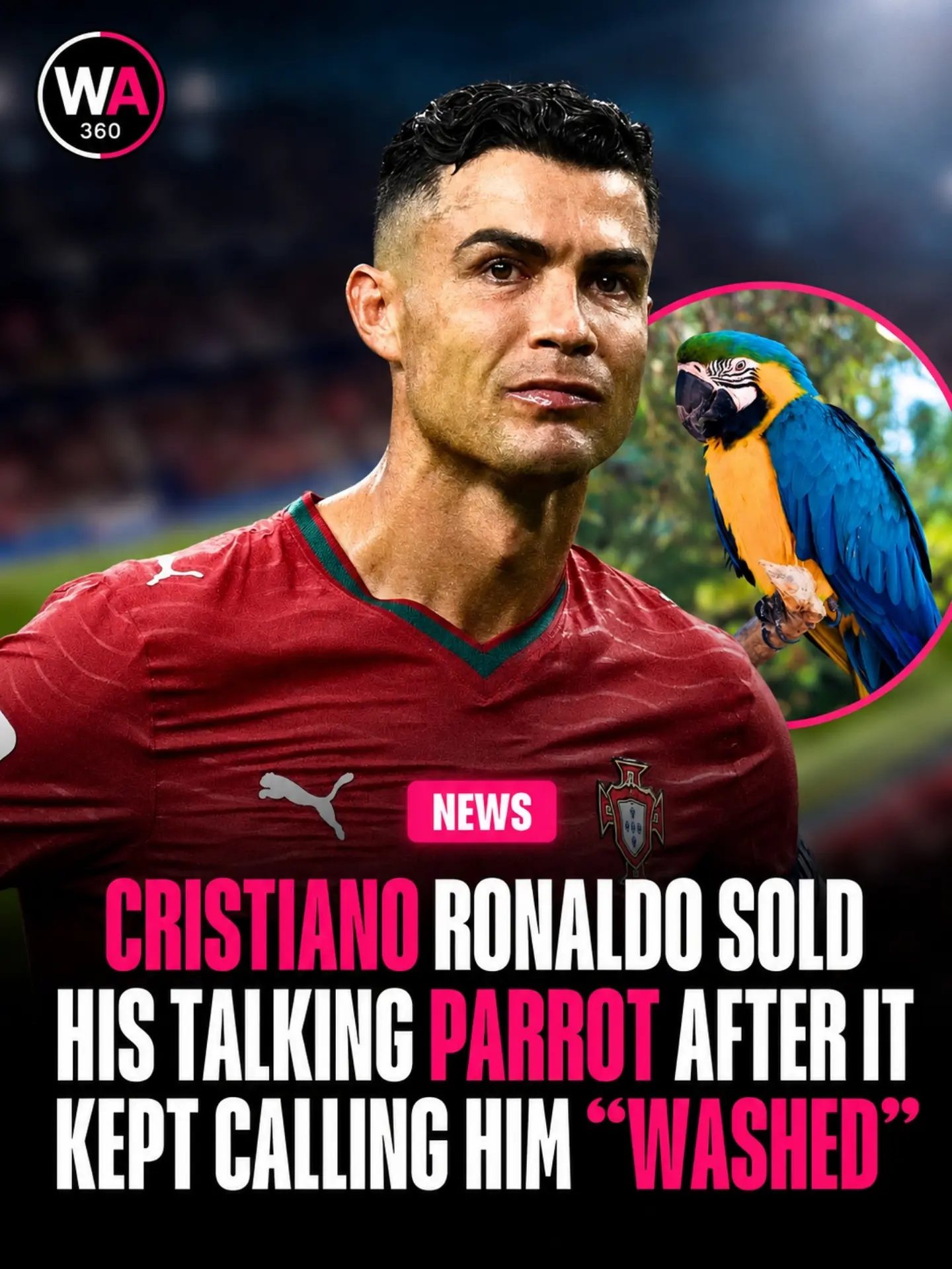 Cristiano Ronaldo's Parrot Rumor: Fact or Fiction?