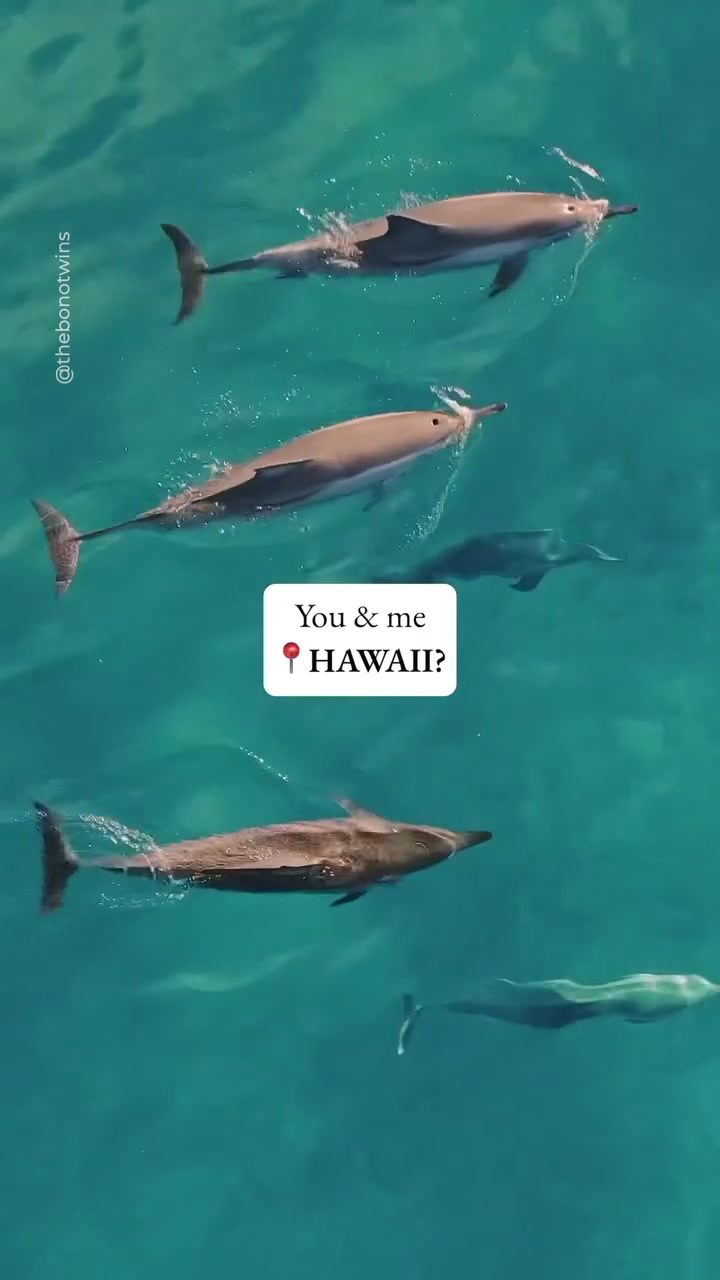 Hawaii's Best Times to Visit for Weather, Whales, and Waves