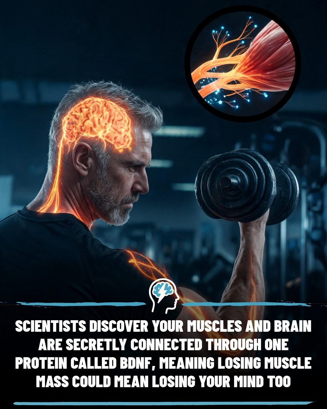Muscle Strength and Brain Health: The Surprising Link