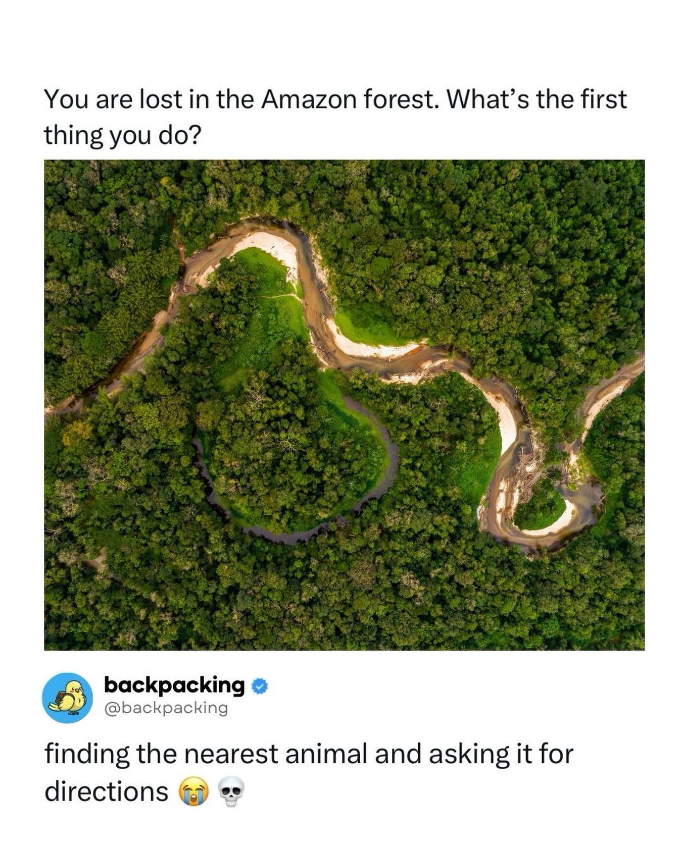 Amazon Rainforest Backpacking: Essential Survival Tips