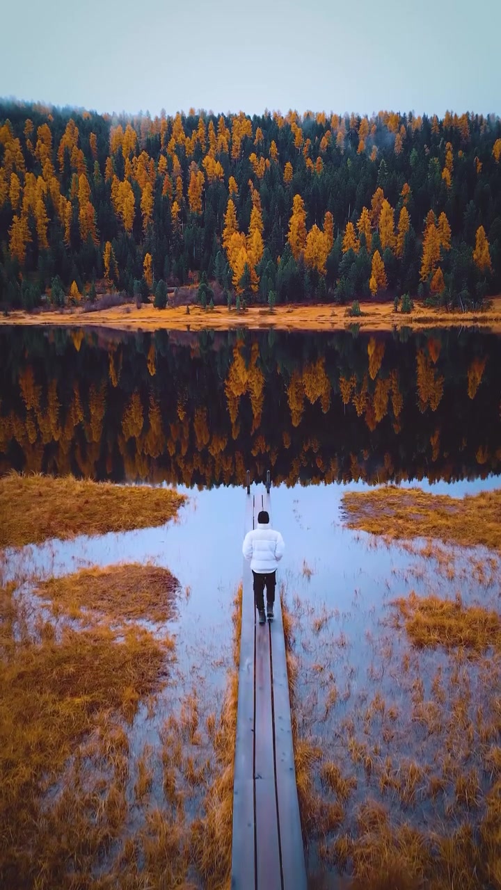 Autumn Walk at Lake Staz, Switzerland