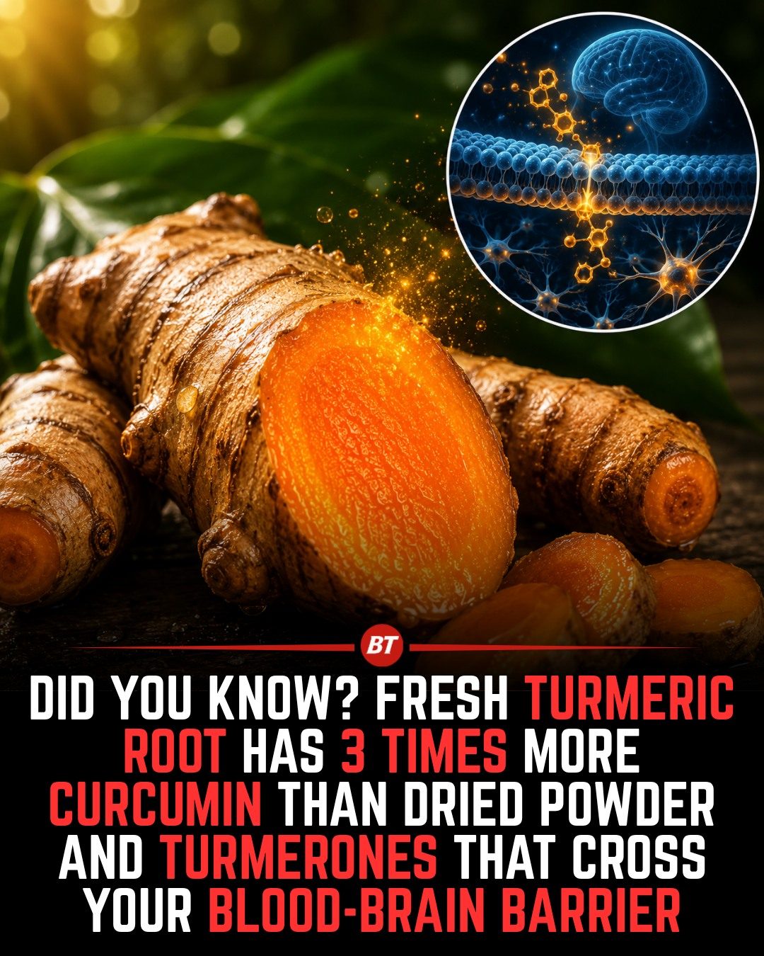 Discover the Power of Fresh Turmeric Root: Why It's Superior to Powder.