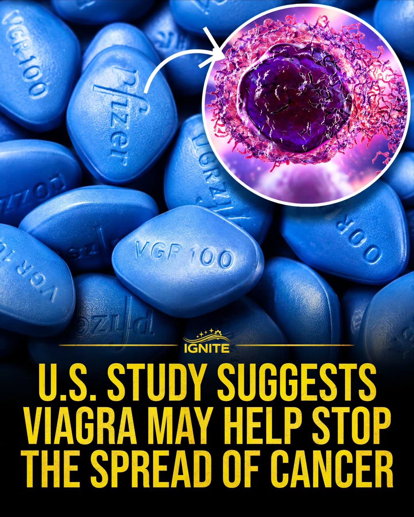 Viagra's Surprising Role in Cancer Research