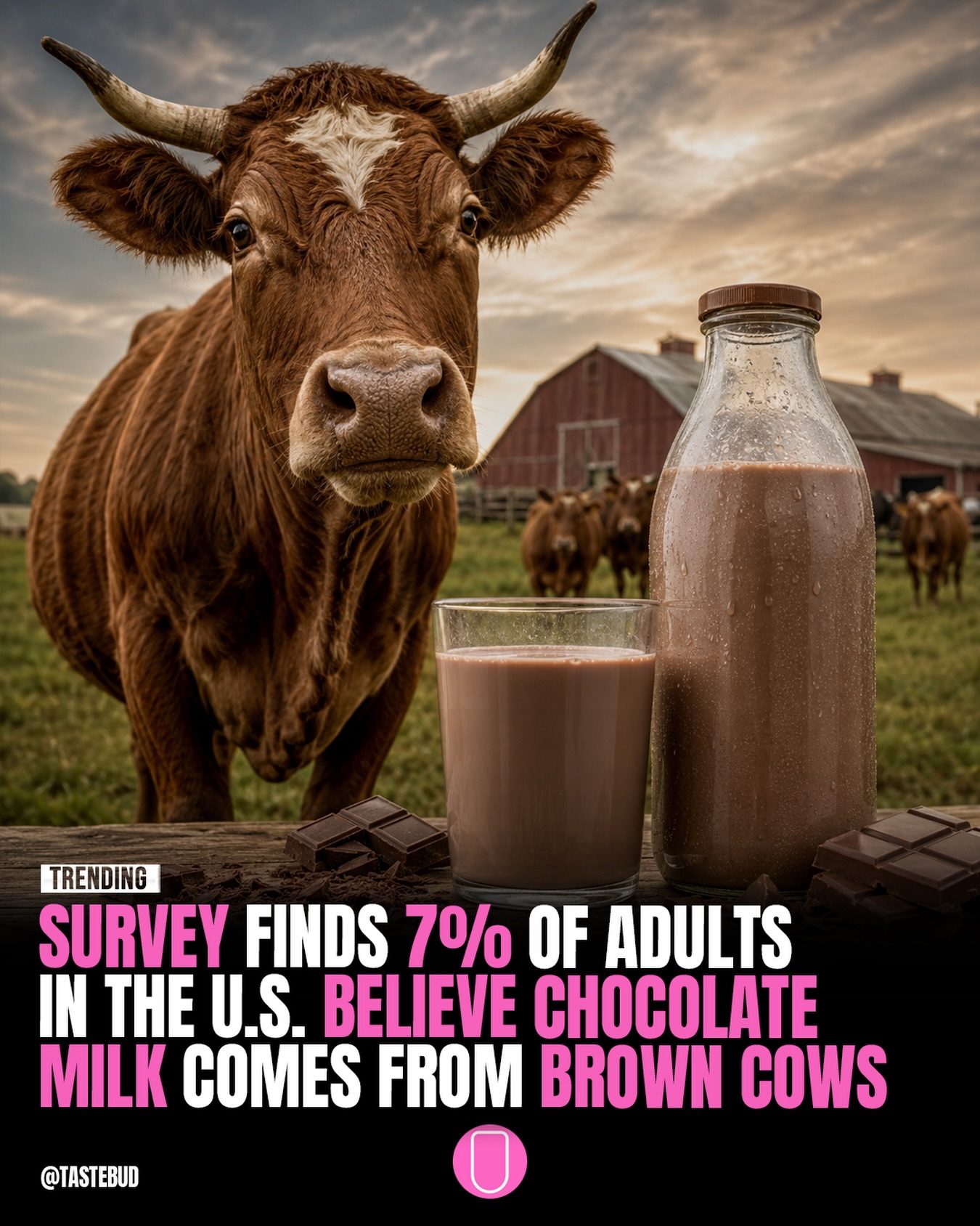 Adults' Belief in Brown Cow Chocolate Milk