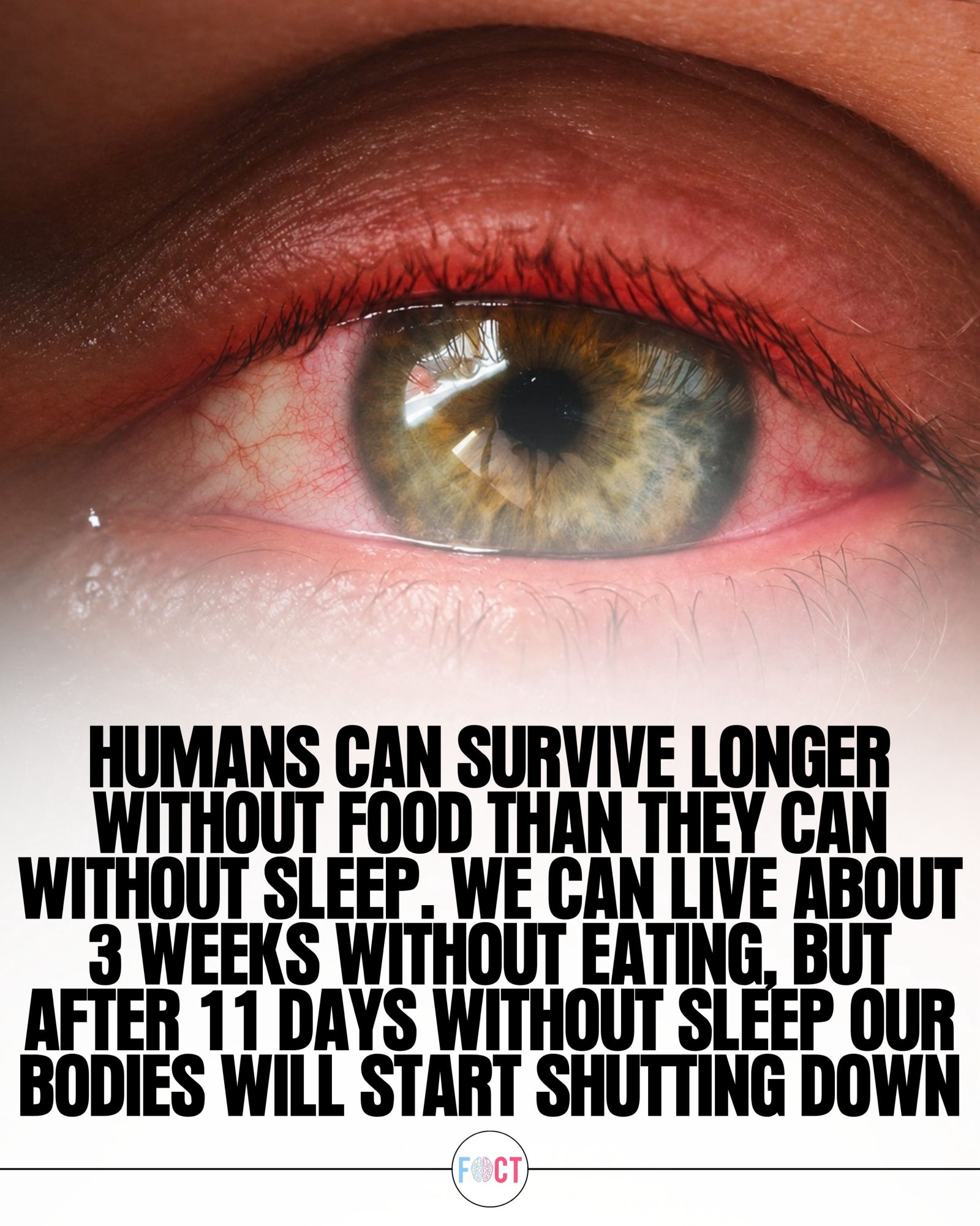 Food vs. Sleep: How Long Can Humans Survive Without Each?