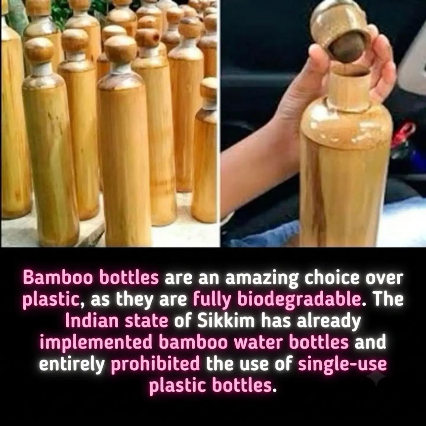 Sikkim's Ban Inspires Eco-Friendly Shift to Bamboo Water Bottles
