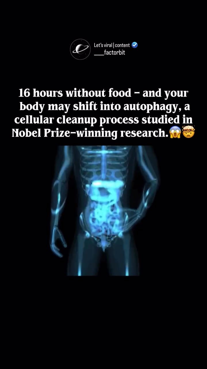 ### What Happens During 16 Hours of Fasting? The Autophagy Process