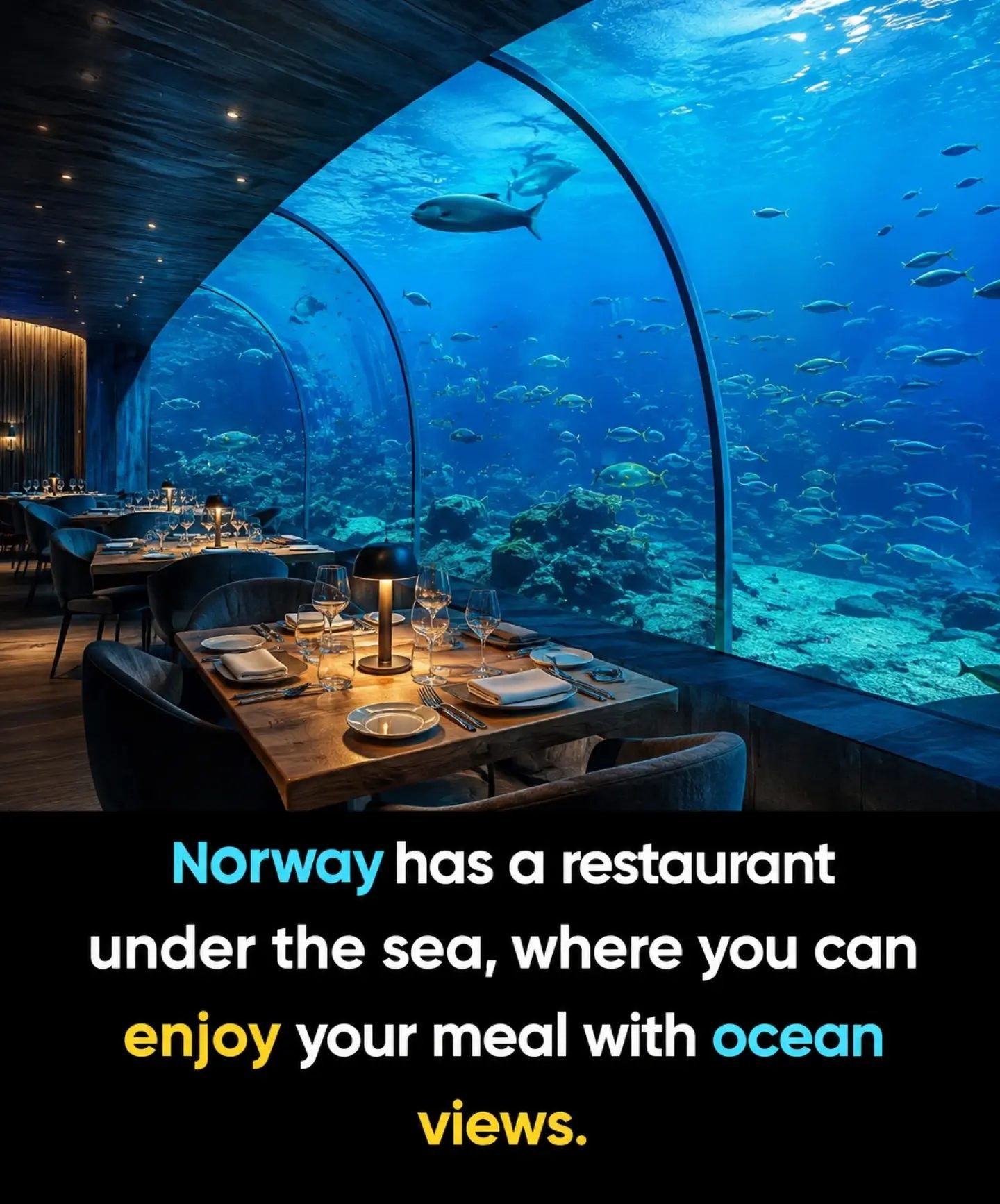 Dine Beneath the Waves: Norway's Underwater Restaurant
