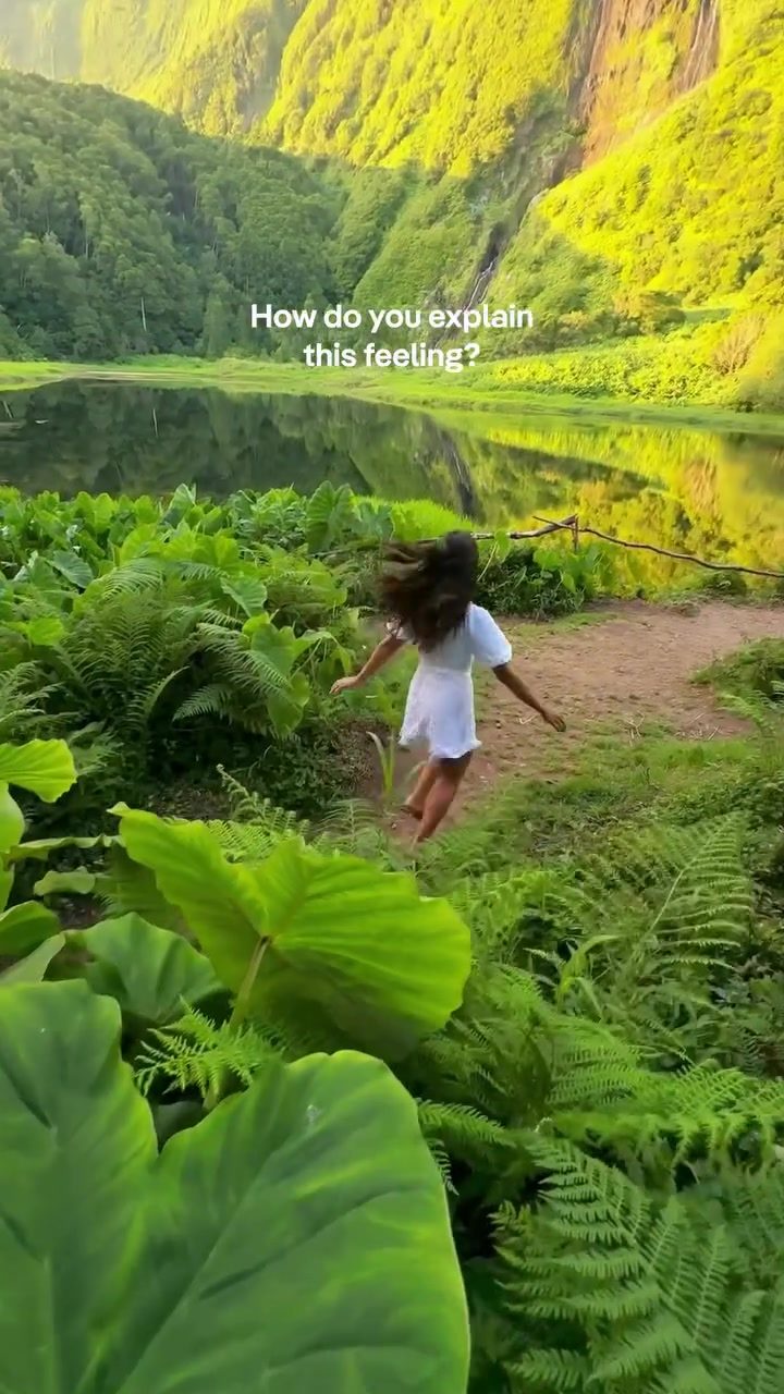 Exploring Cascata da Ribeira do Ferreiro: A Must-See in the Azores