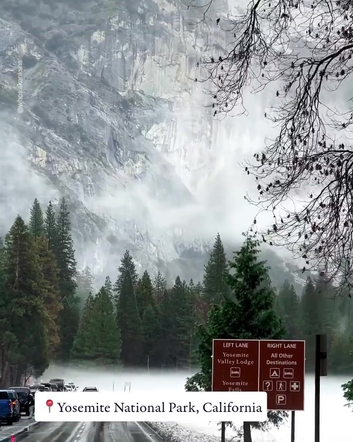 Yosemite National Park: Discover Towering Granite and Waterfalls