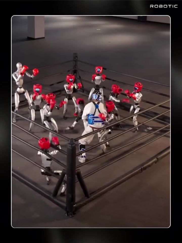 GINGPAI Humanoid Robots Excel in Boxing Match