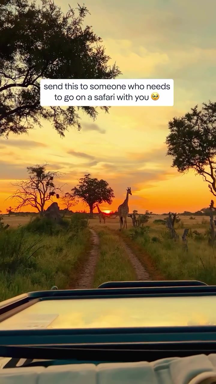 **Top Safari Destinations for a Once-in-a-Lifetime Adventure**