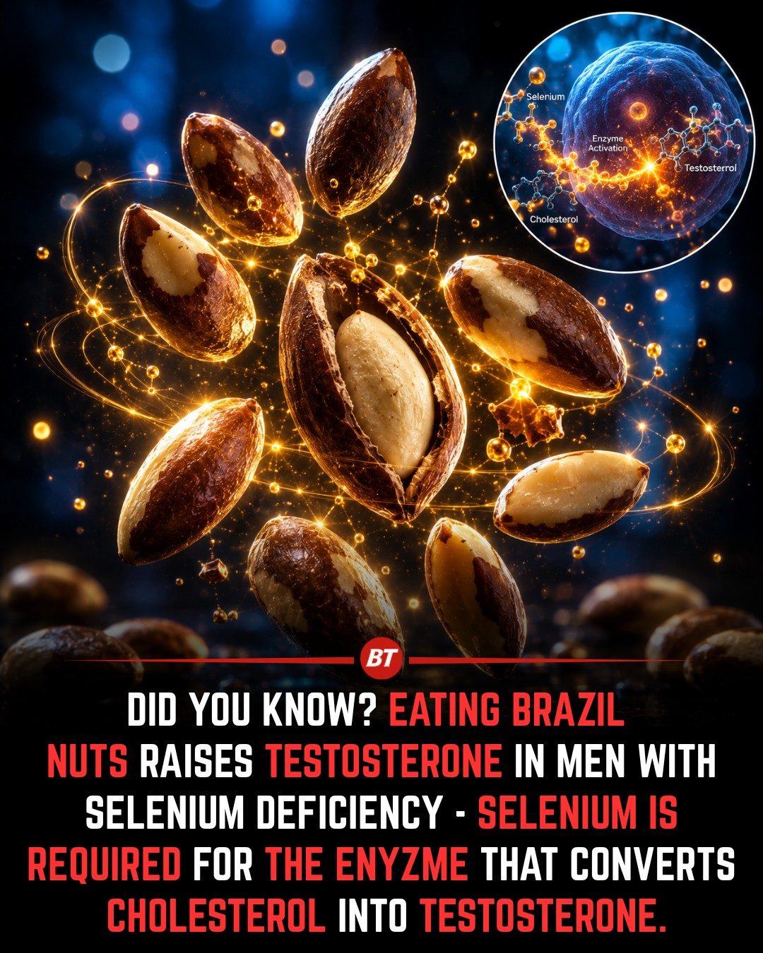 Boost Testosterone with Brazil Nuts if You're Selenium Deficient