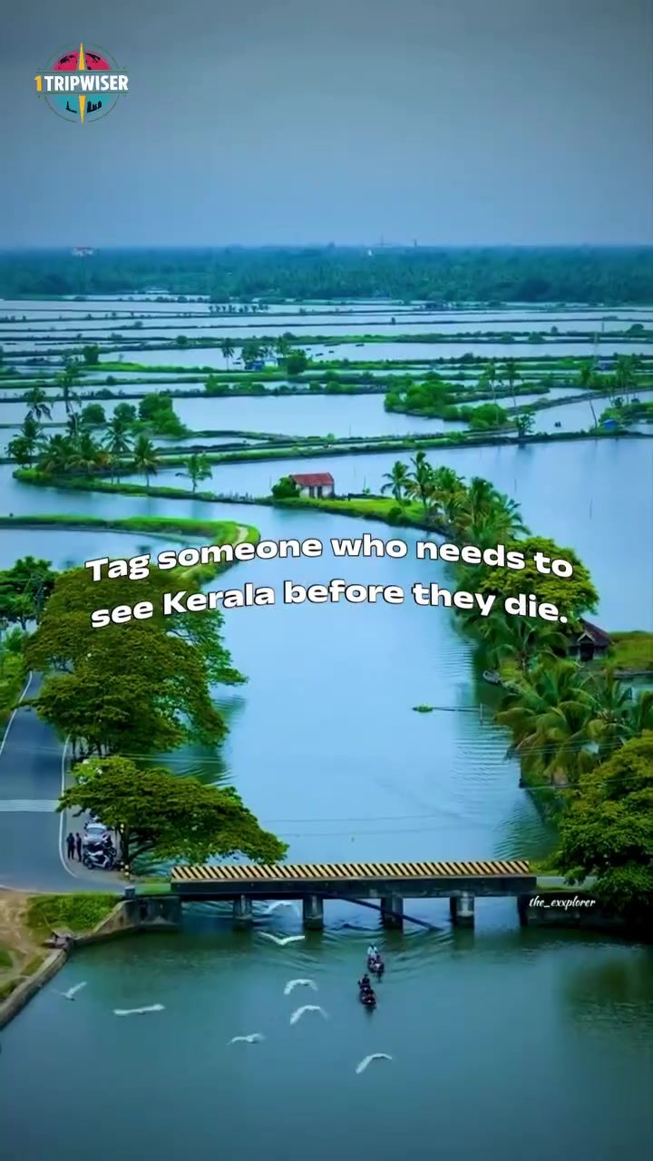 Kerala's Ultimate Travel Highlights