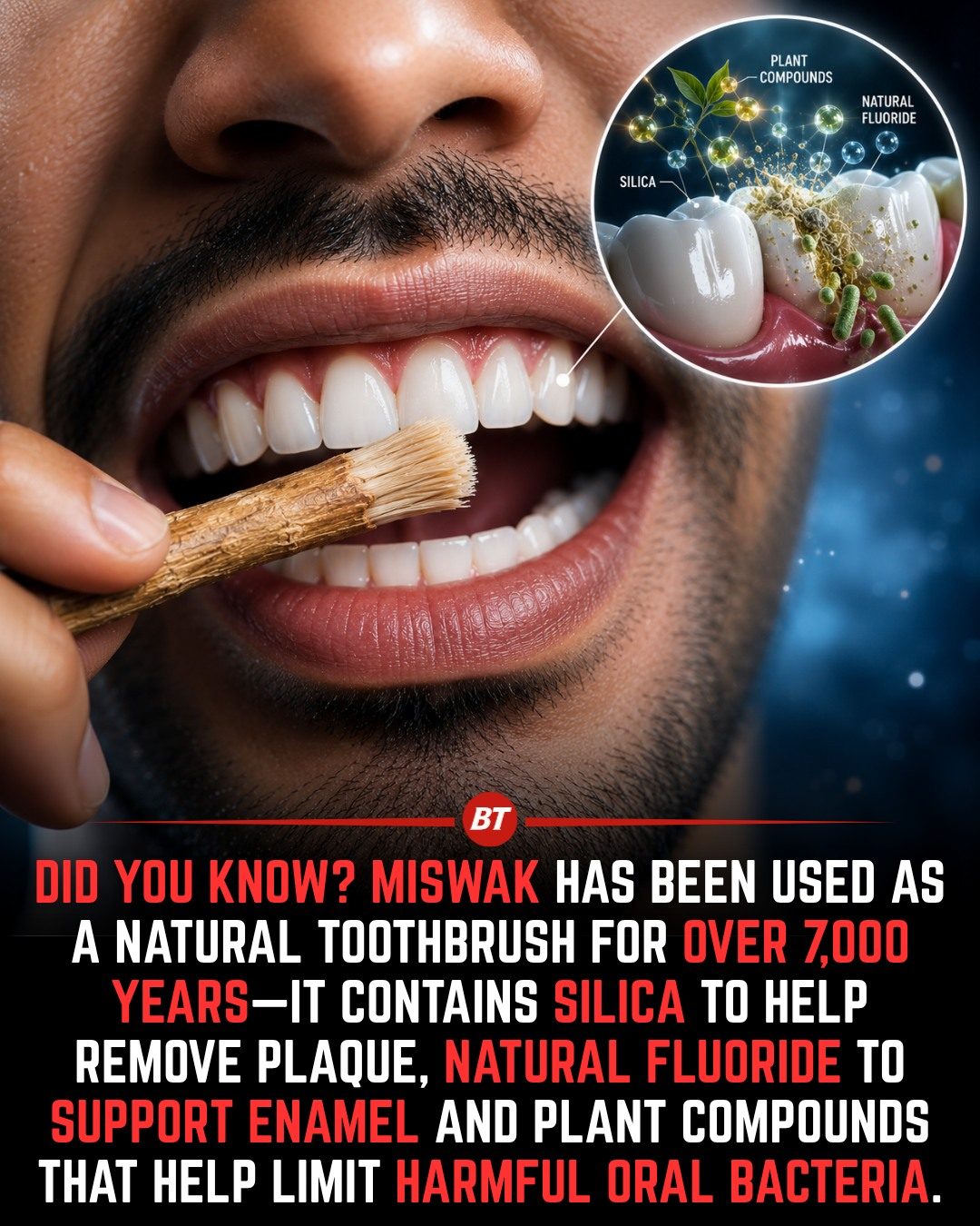 Miswak's Benefits: A Natural Toothbrush with Historical Wisdom