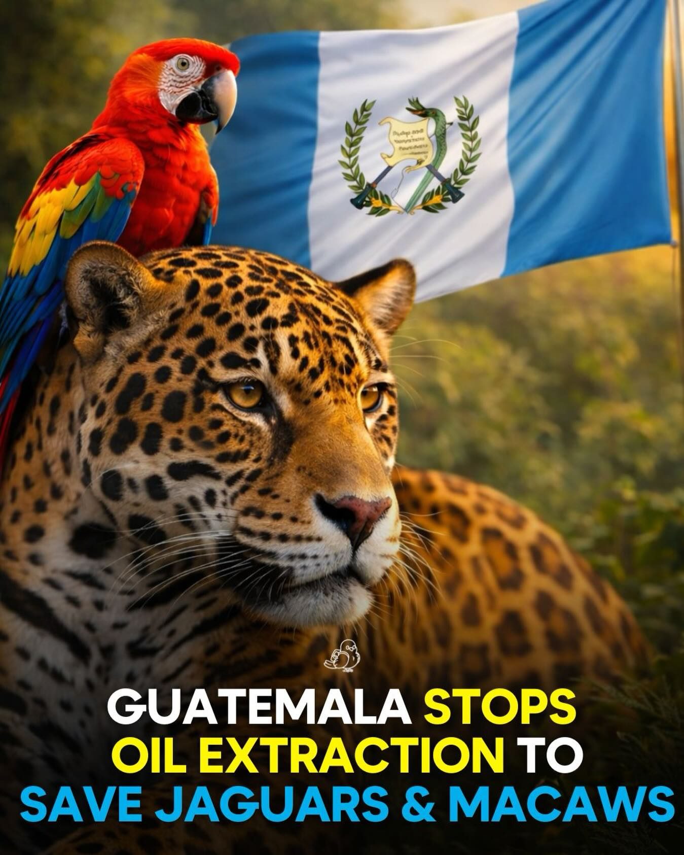 Guatemala Halts Oil Extraction to Protect Jaguars and Macaws