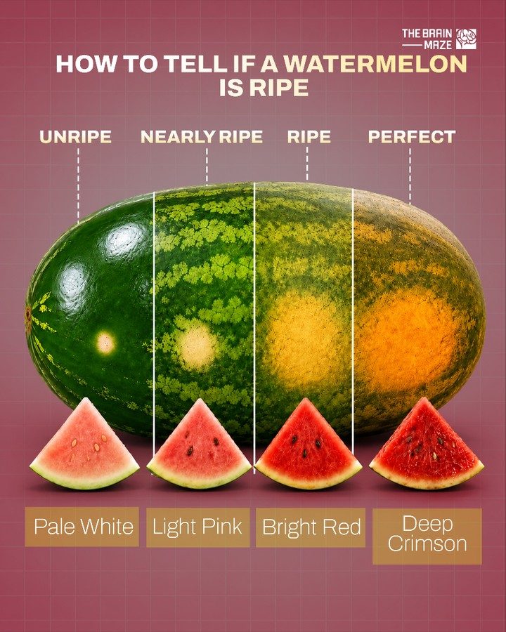 How to Pick the Perfect Ripe Watermelon
