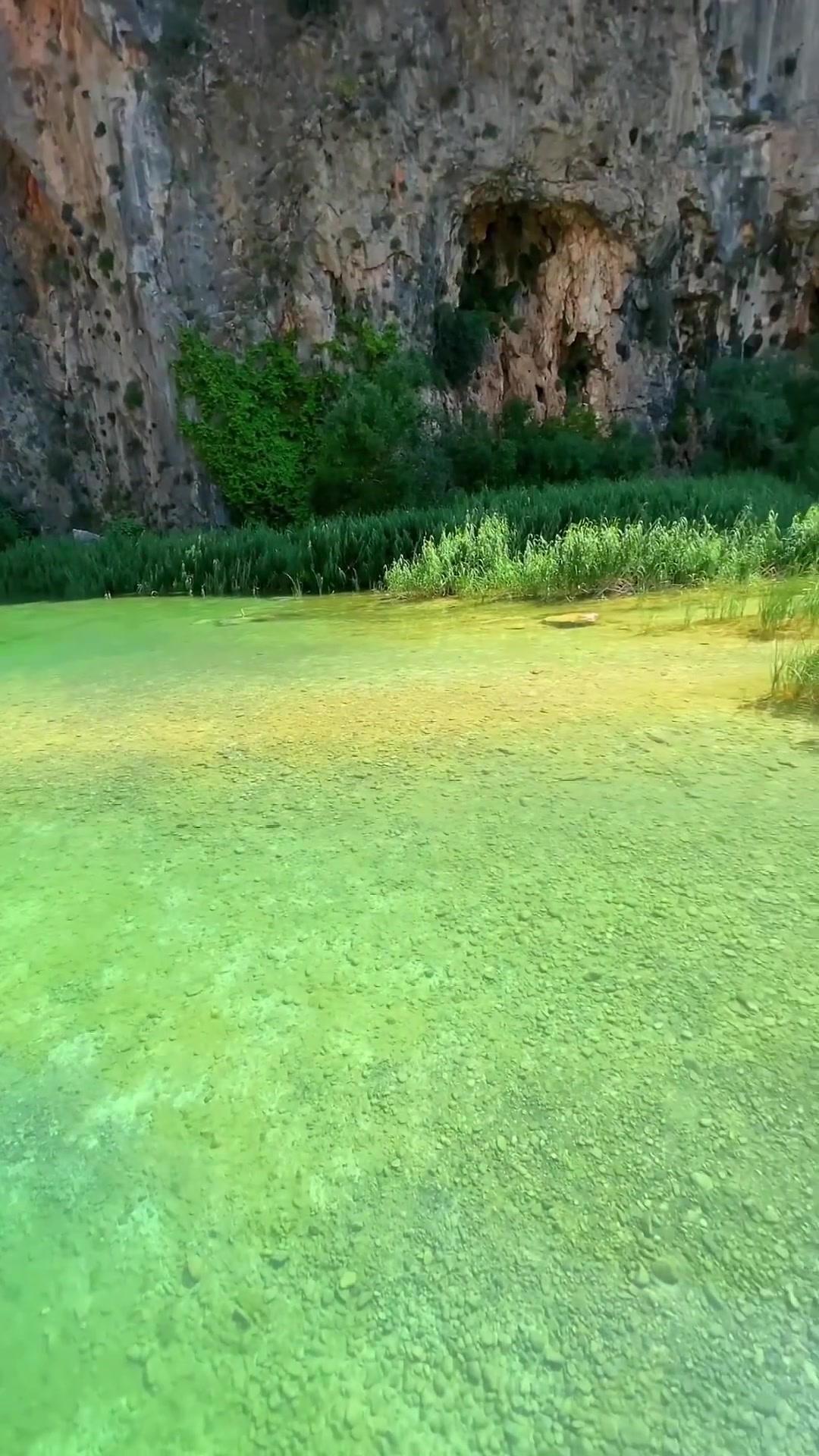 Swimming in a Natural Pool: Serene Green Oasis