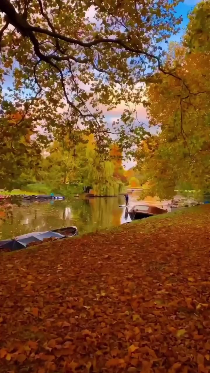 Amsterdam Autumn Canal Scene: Bodiek's Serene View
