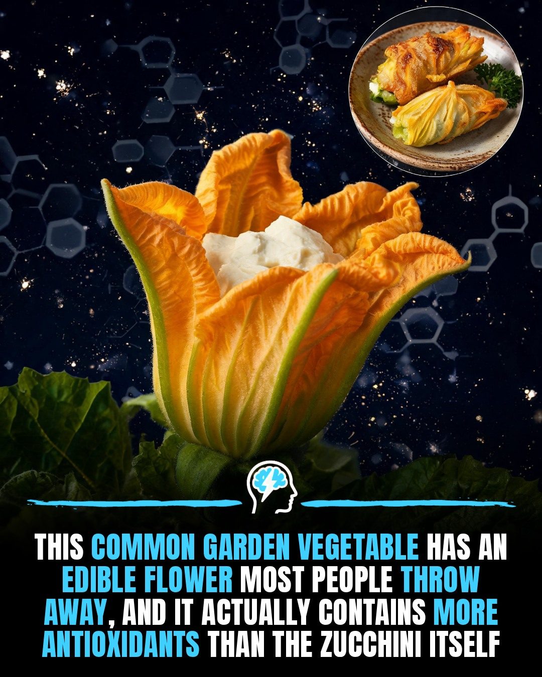 Zucchini Flowers: Garden's Hidden Edible Treasure