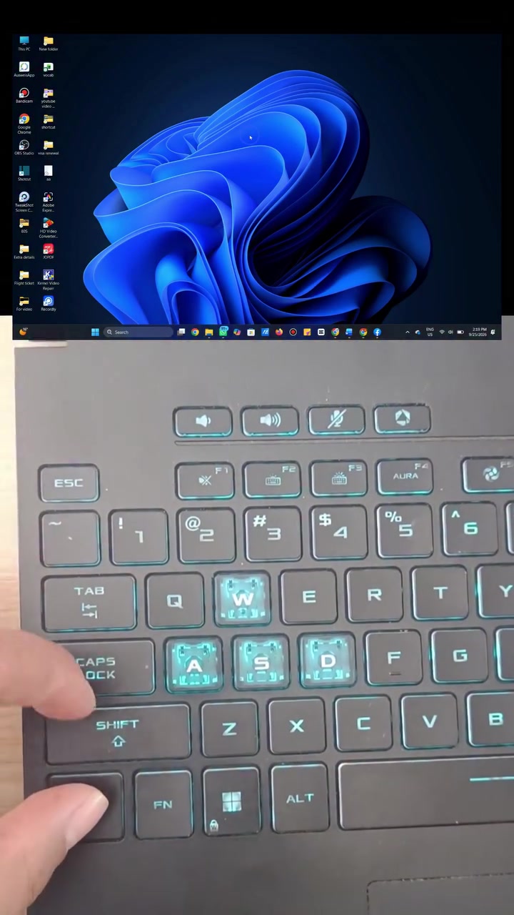 Backlit Keyboard Typing in Action
